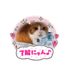 からあげは猫の名前です。part3（個別スタンプ：18）