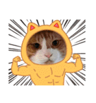 からあげは猫の名前です。part3（個別スタンプ：19）
