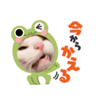 からあげは猫の名前です。part3（個別スタンプ：22）