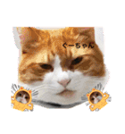 からあげは猫の名前です。part3（個別スタンプ：23）