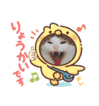 からあげは猫の名前です。part3（個別スタンプ：26）