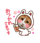 からあげは猫の名前です。part3（個別スタンプ：27）