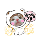 からあげは猫の名前です。part3（個別スタンプ：28）