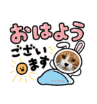 からあげは猫の名前です。part3（個別スタンプ：29）