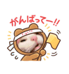 からあげは猫の名前です。part3（個別スタンプ：32）