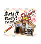 からあげは猫の名前です。part3（個別スタンプ：34）