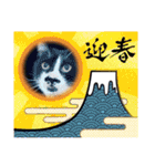 からあげは猫の名前です。part3（個別スタンプ：36）