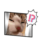 からあげは猫の名前です。part3（個別スタンプ：38）