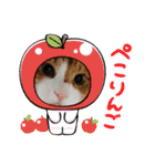 からあげは猫の名前です。part3（個別スタンプ：39）