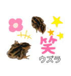 からあげは猫の名前です。part3（個別スタンプ：40）