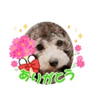 りきゅうくん2（個別スタンプ：1）