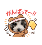 りきゅうくん2（個別スタンプ：8）