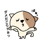 ポチの日常 敬語編（その1）（個別スタンプ：22）