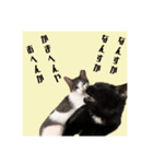 よきにはからう猫（個別スタンプ：1）