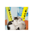 よきにはからう猫（個別スタンプ：8）