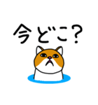 ねこってニャに？（個別スタンプ：2）