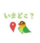 帰り際に使えるインコと仲間たち（個別スタンプ：10）