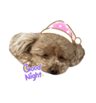 モーさんじゃないよ！モコりんだよ！（個別スタンプ：1）