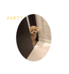 モーさんじゃないよ！モコりんだよ！（個別スタンプ：3）