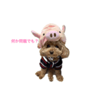 モーさんじゃないよ！モコりんだよ！（個別スタンプ：4）