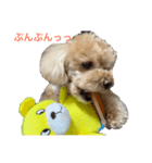 モーさんじゃないよ！モコりんだよ！（個別スタンプ：5）
