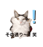 ありのままのクララ姫（個別スタンプ：3）