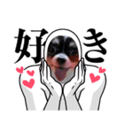 Bokuwa Ushidesu！！（個別スタンプ：3）