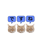 ぶんぶん(♂)スタンプ2（個別スタンプ：7）