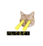 ぶんぶん(♂)スタンプ2（個別スタンプ：15）