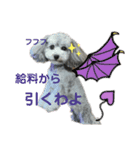 小悪魔メグ（個別スタンプ：1）