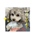 小悪魔メグ（個別スタンプ：5）