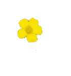 チューリップ草花植物生物自然菜の花ツツジ（個別スタンプ：5）