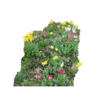 チューリップ草花植物生物自然菜の花ツツジ（個別スタンプ：38）