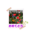 お花畑でごあいさつ（個別スタンプ：11）