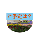 お花畑でごあいさつ（個別スタンプ：14）