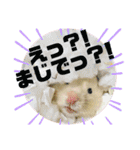 まさむね＆オスカル様（個別スタンプ：22）