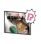ねこすたんプ2（個別スタンプ：3）