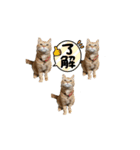 ねこすたんプ2（個別スタンプ：19）