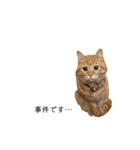 ねこすたんプ2（個別スタンプ：23）