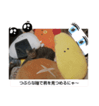 もか日常生活⑥（個別スタンプ：1）