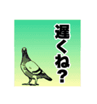 雑でシュールな「お返事スタンプ」（個別スタンプ：9）