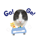 キャットmaiLOVE（個別スタンプ：2）