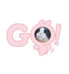 キャットmaiLOVE（個別スタンプ：4）