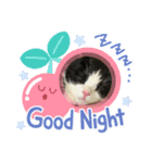 キャットmaiLOVE（個別スタンプ：8）