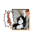 キャットmaiLOVE（個別スタンプ：13）