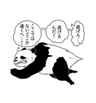 今日のパンダ【怠惰編】（個別スタンプ：31）