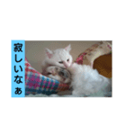みるく   独り言（個別スタンプ：5）