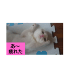 みるく   独り言（個別スタンプ：8）
