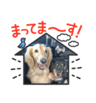 さくま4（個別スタンプ：3）