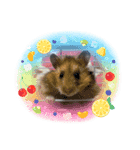 さくま4（個別スタンプ：8）